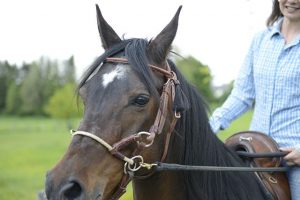 Therapeutisches_Reiten