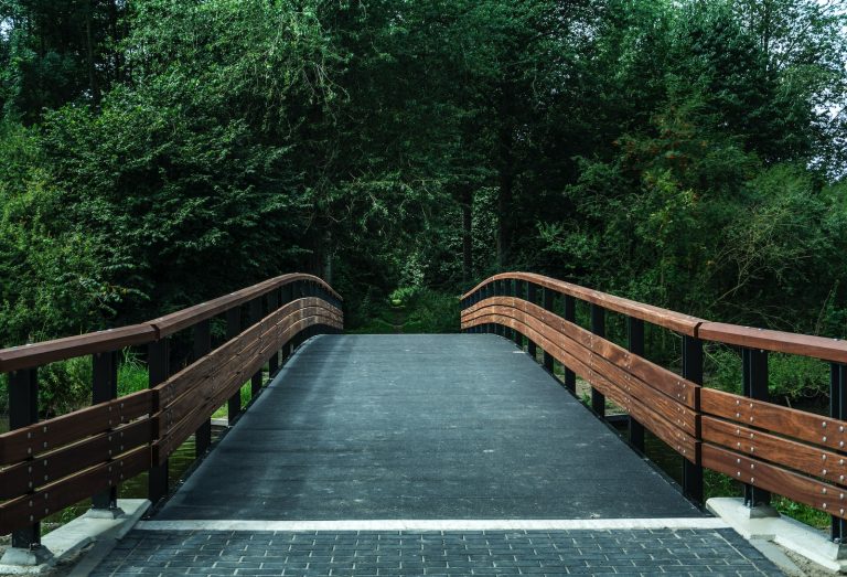 brown and black bridge near trees